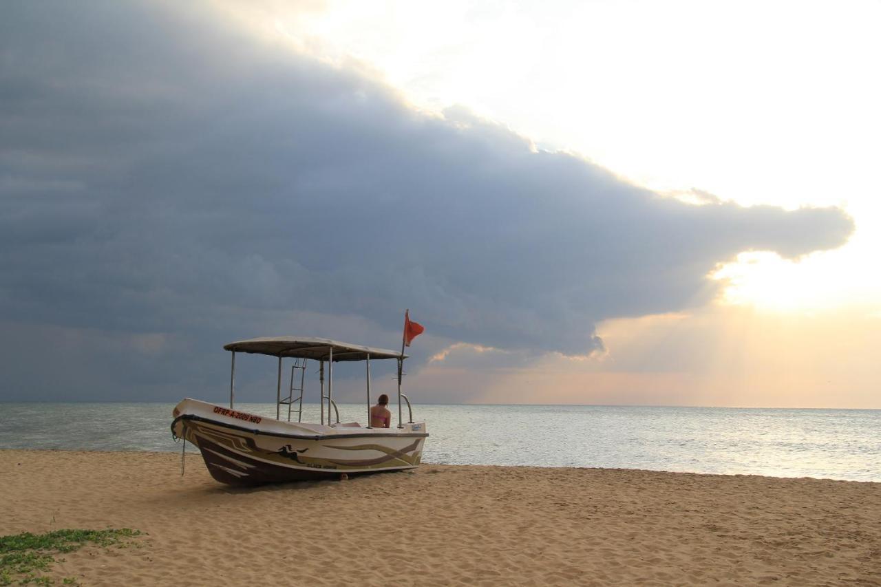 Zendara Hotel Negombo Eksteriør bilde