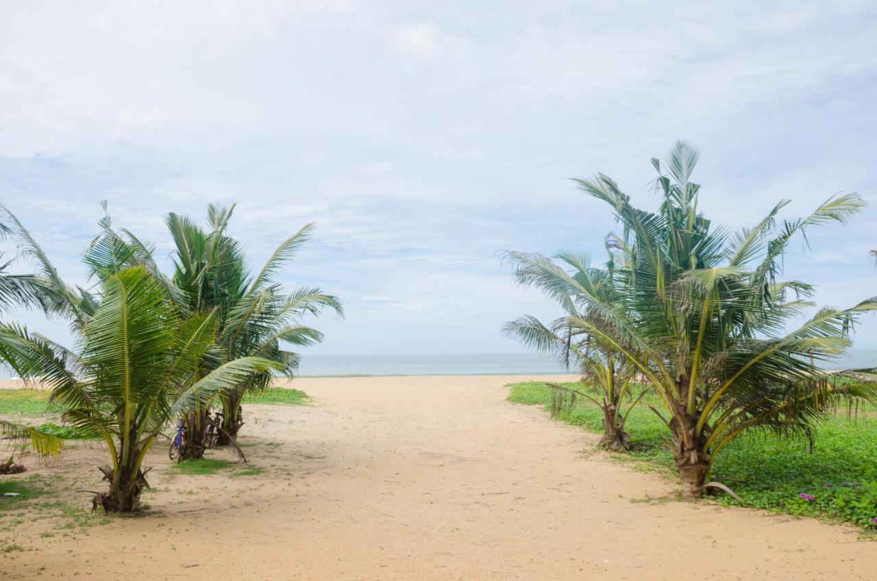 Zendara Hotel Negombo Eksteriør bilde