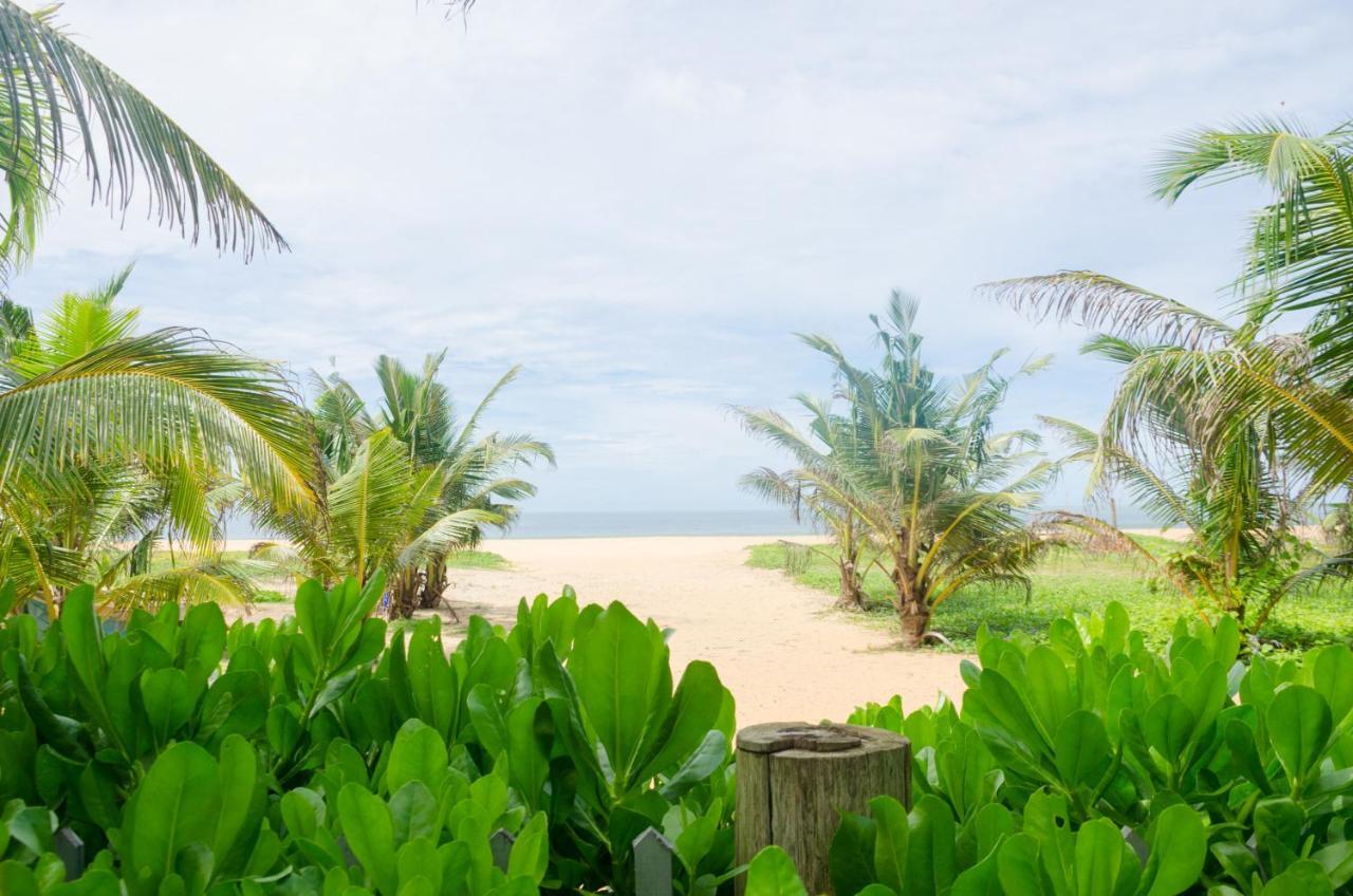 Zendara Hotel Negombo Eksteriør bilde